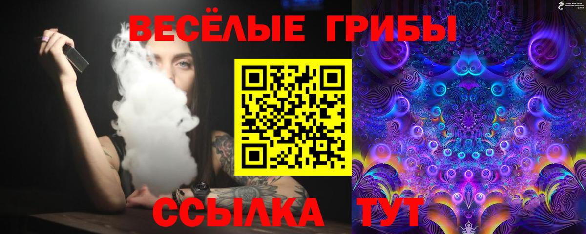 Корсаков  купить наркотики сайты  Вход с VPN  Псилоцибиновые грибы Cubensis 