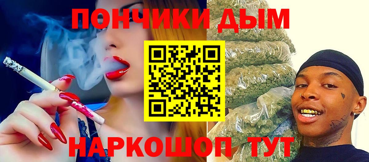 Канабис планчик Корсаков