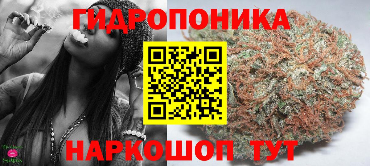 Бошки марихуана Ganja  Бошки Шишки SATIVA & INDICA  Каннабис MAZAR  Корсаков  Канабис OG Kush  Вход с VPN 